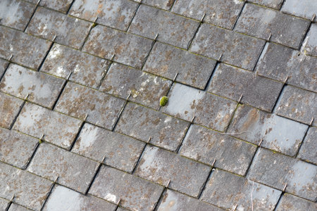 The texture of the slate roof tiles is slightly damaged.