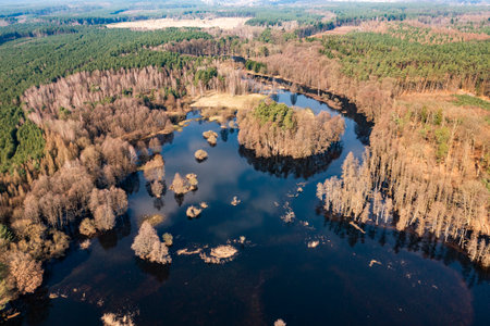 Flooded fields, meadows and forests during excessive rainfall. A river flooding fields and forests,...