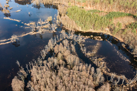 Flooded fields, meadows and forests during excessive rainfall. A river flooding fields and forests,...