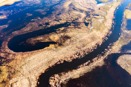 Flooded fields, meadows and forests during excessive rainfall. A river flooding fields and forests,...