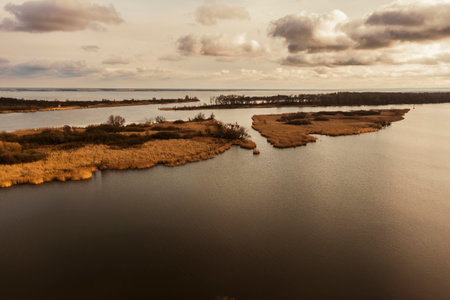 Autumn river landscape from a drone. Autumn plants by the river landscape.の写真素材