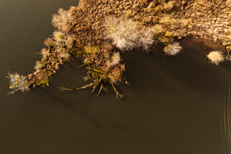 Autumn river landscape from a drone. Autumn plants by the river landscape.