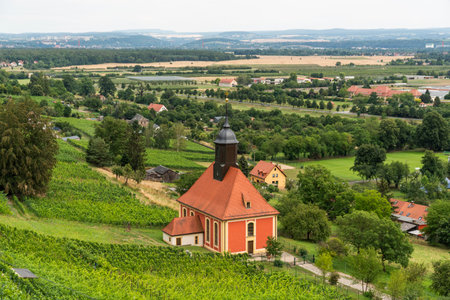 Beautiful Pillnitz vineyards in Germany, vineyard trail, tourist attraction.の写真素材