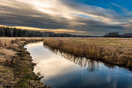 Beautiful wild Ina river flowing between fields in Poland.