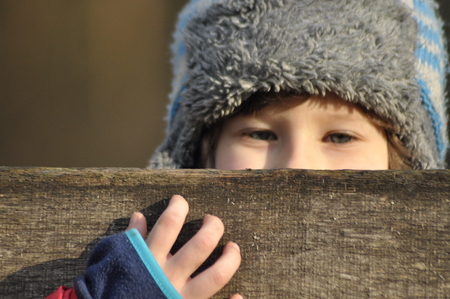 Boy hidden behind the fence. Fun in the fresh air.の写真素材