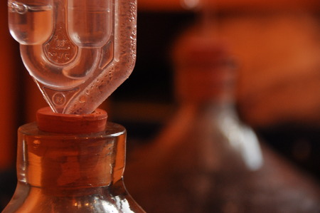 Jug of wine. Production wina.Proces fermentation.の写真素材