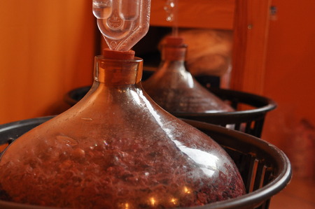 Jug of wine. Production wina.Proces fermentation.の写真素材