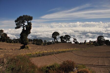 Agricultural slopes of the volcano Irazu in Costa Rica with fertile soil and numerous crops on sunny slopes. The valley is surrounded by clouds suspended below the volcanic cone.の写真素材