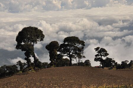 Agricultural slopes of the volcano Irazu in Costa Rica with fertile soil and numerous crops on sunny...