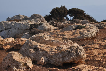 A rugged landscape showcases large rocks scattered across the ground with minimal vegetation. The scene captures the beauty of nature near the coastline on a calm spring day.の写真素材