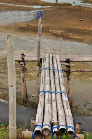 A bamboo bridge crosses shallow water, connecting two sides of the land in a coastal area. The structure is held by ropes and showcases local building techniques.の写真素材