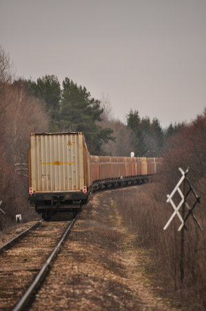 A long cargo train moves along a curved railway track, with trees lining the path on both sides. The scene is set on a cloudy day, creating a serene atmosphere.の写真素材