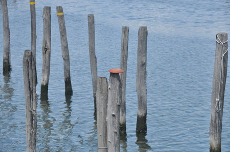 Tall wooden posts stand upright in clear water, creating a peaceful scene. The sun shines brightly, reflecting off the surface, giving a tranquil atmosphere.の写真素材