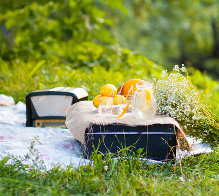 Summer cocktail with lemons served in the gardenの写真素材