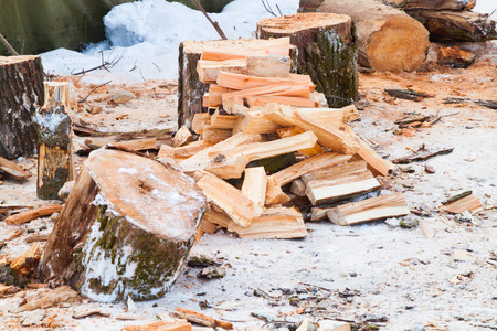 The logs of fire wood in winter