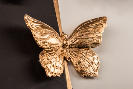 plaster relief butterfly frameの写真素材