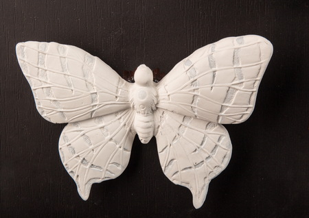 plaster relief butterfly frameの写真素材