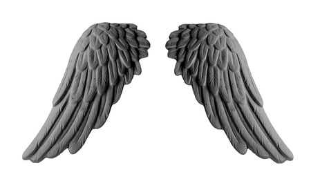 dark plaster wings on isolated white background