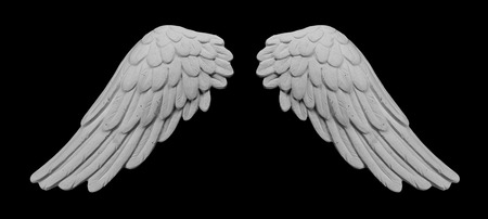 white plaster wings on a black background