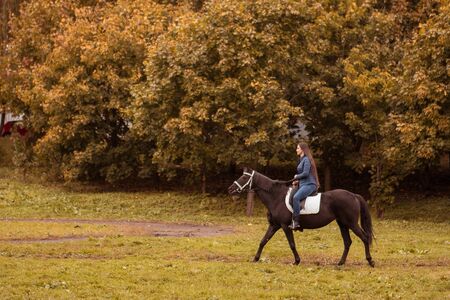 Young brunette woman with long hair posing with a brown red horse in a forest in a sunny meadowの写真素材