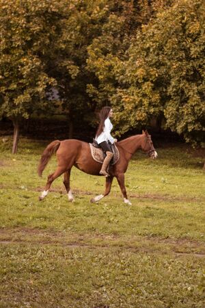 Autumn landscape, beautiful brunette girl with long hair posing with a red horse in the forestの写真素材