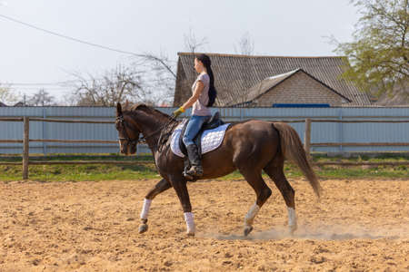 Girl riding a horse gallops in a paddock on a ranchの写真素材