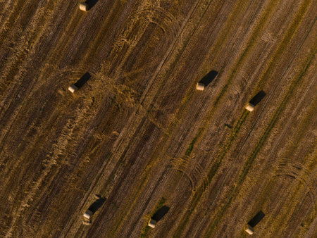 Landscape view from drone, yellow and green fields and haystacks