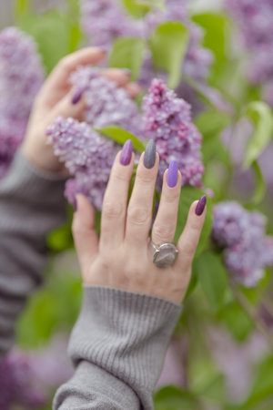 Female hand with lilac purple long nails and nail polish bottleの写真素材