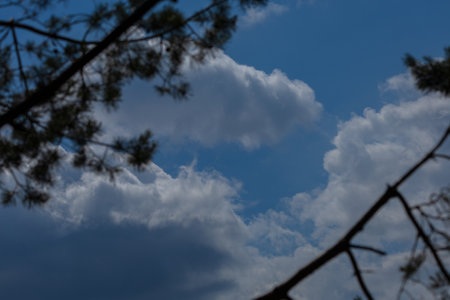Panarama Blue sky and white clouds. Texture background for designの写真素材