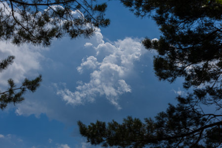 Panarama Blue sky and white clouds. Texture background for designの写真素材