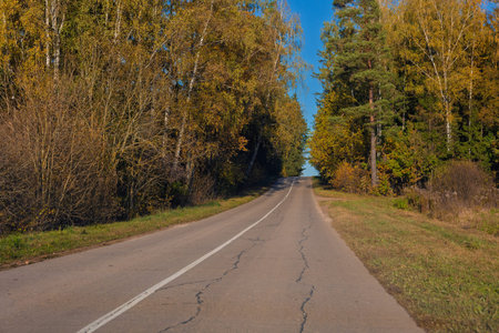 Autumn landscape, road and highway, asphalt and roadside.