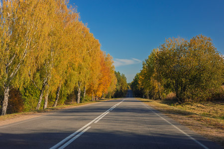 Autumn landscape, road and highway, asphalt and roadside.の写真素材