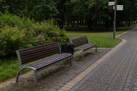 Wooden benches and chaise lounges for rest on the streets of the city and in the park, public placesの写真素材