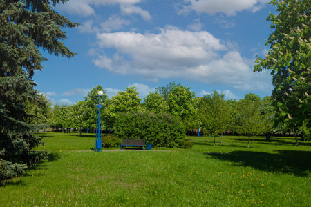 Wooden benches and chaise lounges for rest on the streets of the city and in the park, public placesの写真素材