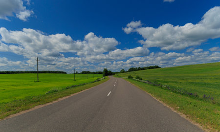 Road view on a summer day. Highways, roadside and white road line markings.の写真素材
