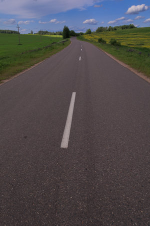 Road view on a summer day. Highways, roadside and white road line markings.の写真素材