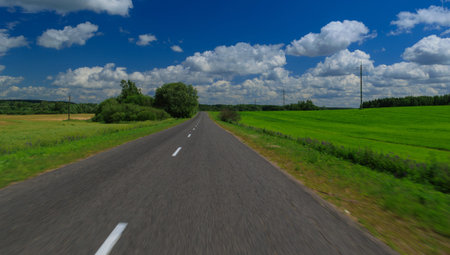 Road view on a summer day. Highways, roadside and white road line markings.