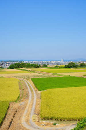 summer. Rural landscape. Seto Inland Sea in the distance(Kanonji City, Kagawa Prefecture)の写真素材