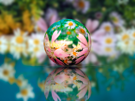 The ball in the water and reflection. Flowers inside a sphere of volume. Concept - zen, beauty, environment, ecology, peaceの写真素材