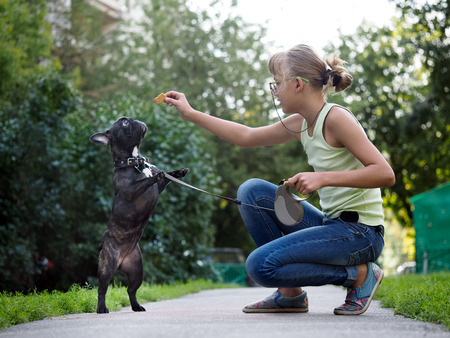 Girl walking a dog and to train. Puppy jumping for treat. Street of the city, summer. French Bulldog in blackの写真素材