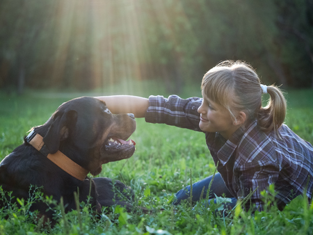 Happy girl and dog in the sunshine. The dog is big and scary - Rottweiler. Green grass, park, sunsetの写真素材