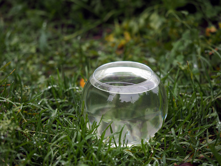 Round container with water in the grassの写真素材