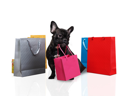 Cute dog holding in teeth a bag for purchases. Many multi-colored bags around the dog. White background. The concept of the sale, purchase, pet productsの写真素材