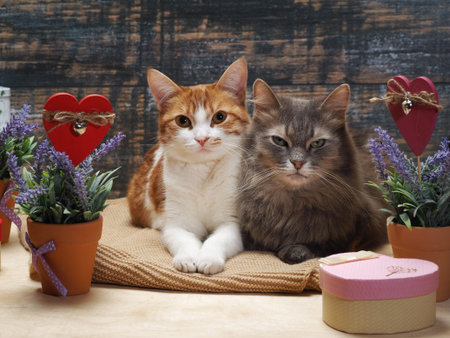 Two cats surrounded by flowers and hearts