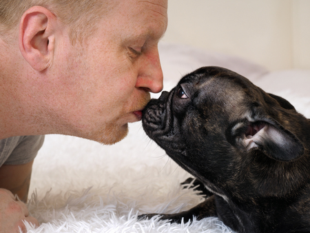 man kisses a dog. French bulldog, black. Owner and animalの写真素材