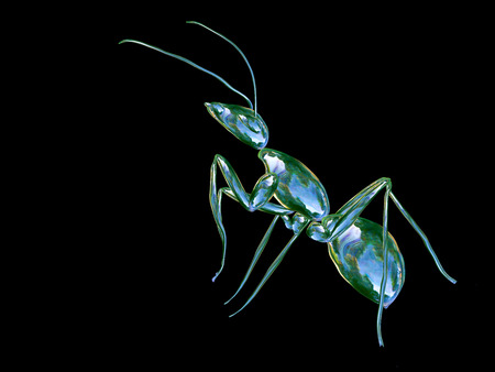 Beautiful glass ant on a black backgroundの写真素材