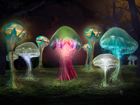Fabulous mystical mushrooms in the forest. Bright glowの写真素材