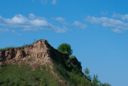 Hill with green trees on blue sky backgroundの写真素材