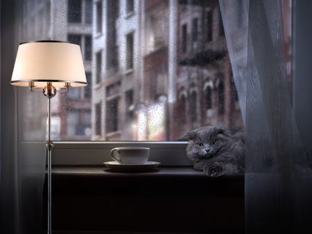 Coffee Cup on the window. On the windowsill is a cat. The light from the lamp. Rain drops on glass. Outside the cityの写真素材