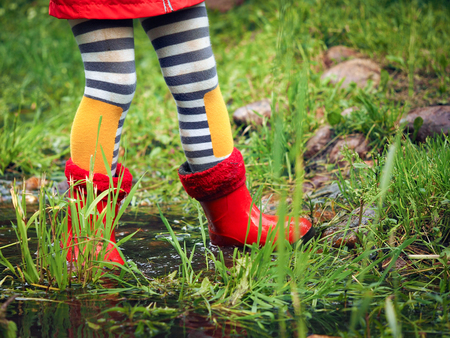 Child's feet in rubber boots. Girl standing in a puddle. Green grass, treesの写真素材